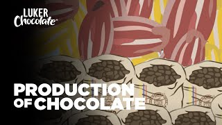 The Production of Chocolate Bean to Bar Chocolate [upl. by Vernier713]