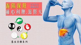 ♫ 近1小時五行能量音樂 養肝音樂 五音音樂 木音角韻 易經風水音樂 ☯Music therapy in Chinese medicine ☯Chinese Feng Shui Music [upl. by Hawley]