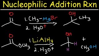 Nucleophilic Addition Reaction Mechanism Grignard Reagent NaBH4 LiAlH4 Imine Enamine Reduction [upl. by Ydur]