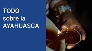 AYAHUASCA ¿Qué es la ayahuasca y que EFECTOS tiene la ayahuasca ¿Dónde pruebo la ayahuasca [upl. by Alleahcim]