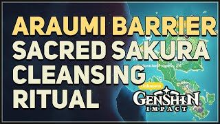 Araumi Barrier Sacred Sakura Cleansing Ritual Puzzle Genshin Impact [upl. by Assirem]