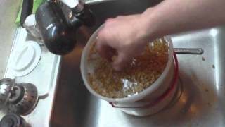 HOMEBREW HOW TO make malted barley [upl. by Yelyak]