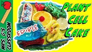 How to Make an Edible Plant Cell Model StepbyStep [upl. by Leighland]