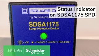 Interpreting Status Indicator Light on SDSA1175 SPD  Schneider Electric Support [upl. by Maryellen635]