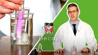 Decay  GCSE Biology Required Practical [upl. by Cutty]