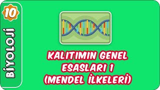 Kalıtımın Genel Esasları 1 Mendel İlkeleri  10 Sınıf Biyoloji [upl. by Katharine264]