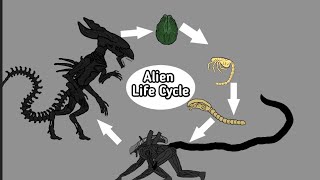 AlienXenomorph Life Cycle  AUTO RPG Anything [upl. by Eddy]